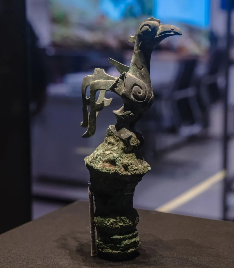A bronze bird showcased in Sanxingdui Museum Photo: Wechat account of Sanxingdui Museum