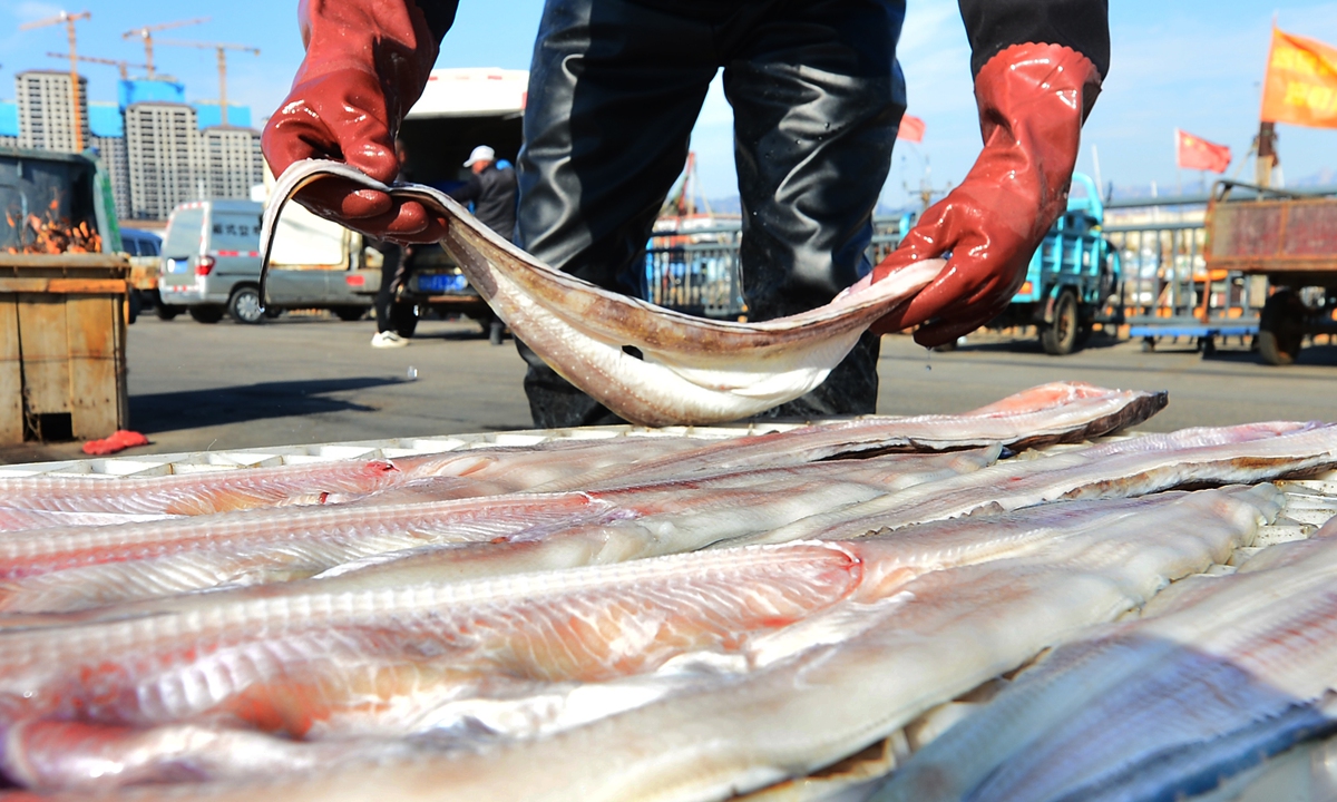 A worker takes advantage of the winter season and prepares dried fish at a wharf in Qingdao, East China's Shandong Province on November 13, 2023. The province aims to lift the output value of its fishery industry from 156.5 billion yuan ($21.46 billion) in 2020 to 165 billion yuan in 2025, according to a plan issued by the local government. Photo: VCG