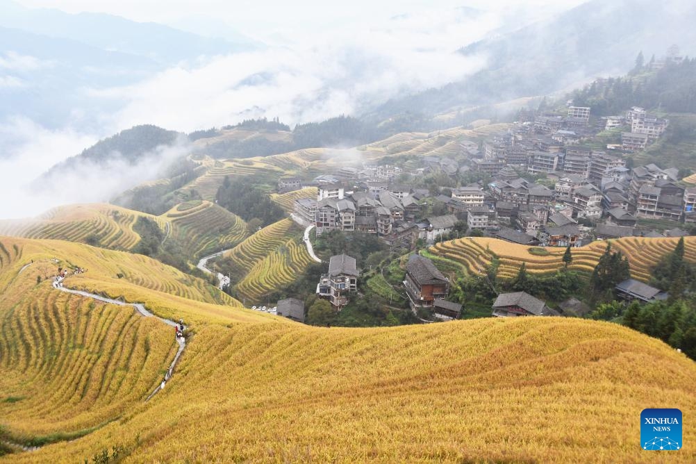 This photo taken on Oct. 30, 2023 shows the autumn view in Longji Town of Guilin City, south China's Guangxi Zhuang Autonomous Region.(Photo: Xinhua)
