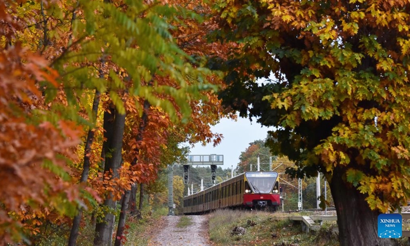 A train runs among autumn leaves in the urban area of Berlin, Germany, Nov. 2, 2023. (Photo:Xinhua)