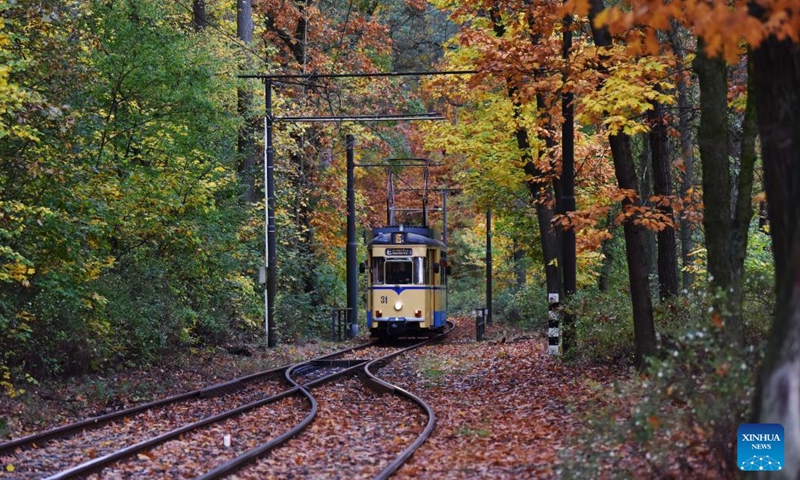 A train runs among autumn leaves in the urban area of Berlin, Germany, Nov. 2, 2023. (Photo:Xinhua)