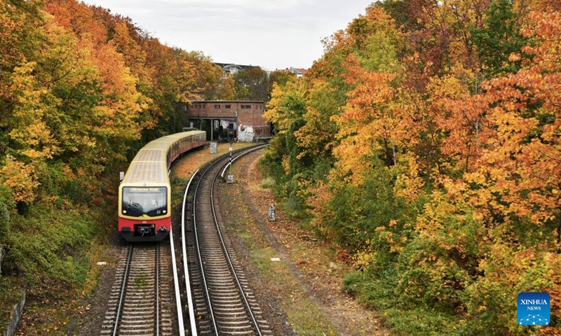 A train runs among autumn leaves in the urban area of Berlin, Germany, Nov. 2, 2023. (Photo:Xinhua)