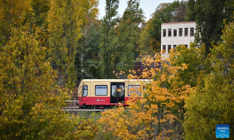 A train runs among autumn leaves in the urban area of Berlin, Germany, Nov. 2, 2023. (Photo:Xinhua)