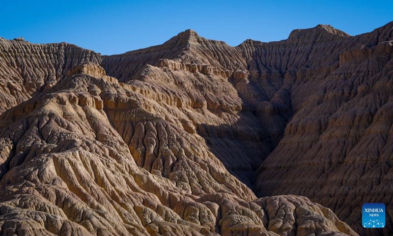 This photo taken on Nov. 2, 2023 shows the landscape of earth forest in Zanda County of Ngari Prefecture, southwest China's Tibet Autonomous Region. Zanda is famous for the unique landscape of earth forest. With gullies, ravines and steep mountainsides, the unique landscape was shaped as a result of gradual geological movements of the Himalayan region ever since the Quaternary Period from 2.5 million years ago and the impact of perennial water erosion and airslaking. (Photo: Xinhua)