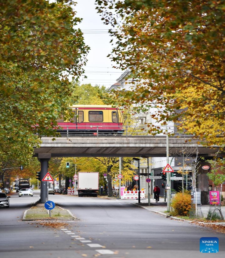 A train runs among autumn leaves in the urban area of Berlin, Germany, Nov. 2, 2023. (Photo:Xinhua)