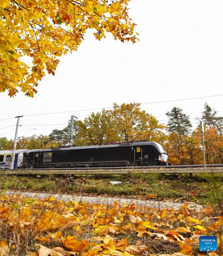 A train runs among autumn leaves in the urban area of Berlin, Germany, Nov. 2, 2023. (Photo:Xinhua)