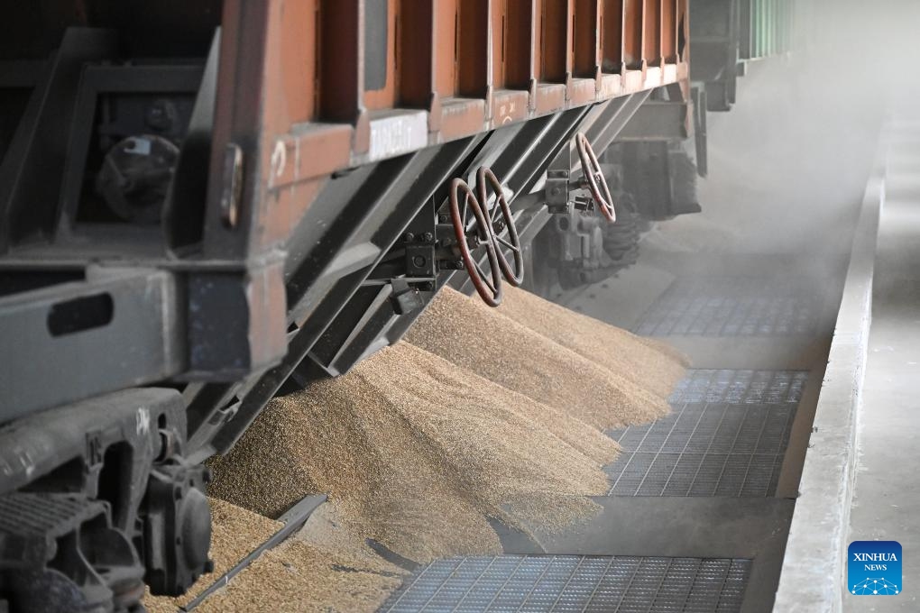 Grains from Kazakhstan are unloaded automatically at the Alataw Pass comprehensive bonded area in northwest China's Xinjiang Uygur Autonomous Region, Nov. 5, 2023. Located in the Mongolian Autonomous Prefecture of Bortala in Xinjiang, the Alataw Pass borders Kazakhstan. Since 2011 when the first China-Europe freight train passed through it, the pass has handled more than 30,000 trains to Central Asia or Europe.(Photo: Xinhua)