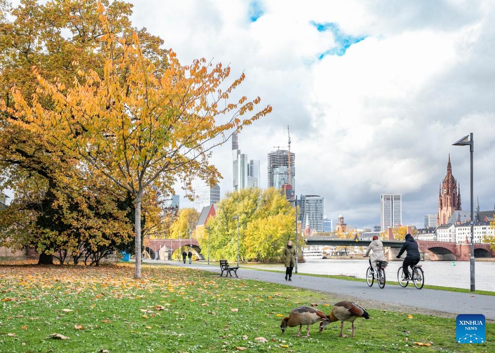 This photo taken on Nov. 8, 2023 shows autumn scenery along the river Main in Frankfurt, Germany.(Photo: Xinhua)