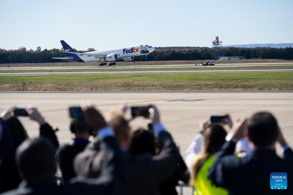 An airplane transporting giant pandas takes off from the Dulles International Airport in Dulles, Virginia, the United States, on Nov. 8, 2023.(Photo: Xinhua)