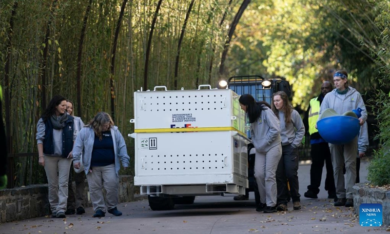 Staff members transfer a cage holding giant panda Mei Xiang at the Smithsonian's National Zoo in Washington, D.C., the United States, Nov. 8, 2023.(Photo: Xinhua)