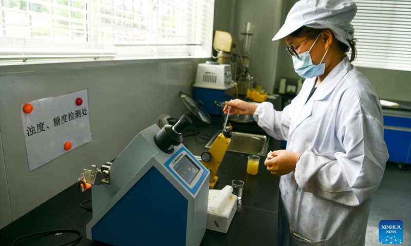 A worker checks the turbidity and sugar content of Cili at a Cili processing company in Longli County, southwest China's Guizhou Province, Aug. 19, 2021. (Photo: Xinhua)