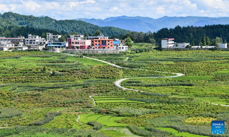 This photo taken on Aug. 18, 2021 shows a Cili planting area in Gujiao Town of Longli County, southwest China's Guizhou Province. (Photo: Xinhua)