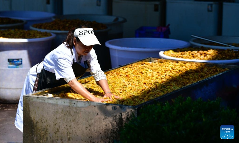 A worker washes Cili fruit slices in Gujiao Town of Longli County, southwest China's Guizhou Province, Sept. 1, 2023. (Photo: Xinhua)