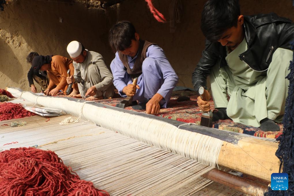 Workers weave a carpet in Jawzjan Province, Afghanistan, Nov. 8, 2023.(Photo: Xinhua)