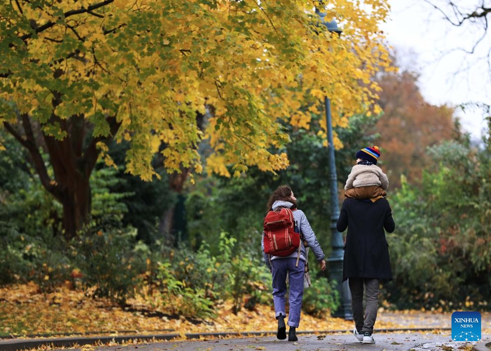 People enjoy autumn scenery at Montsouris park in Paris, France, Nov. 12, 2023.(Photo: Xinhua)