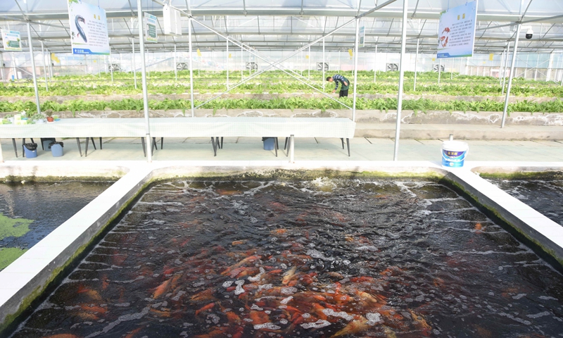 A farm employee manages planting at an 