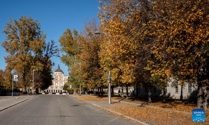 Trees, street and the Royal Palace are seen in Aranjuez, Spain, Nov. 19, 2023. (Photo: Xinhua)
