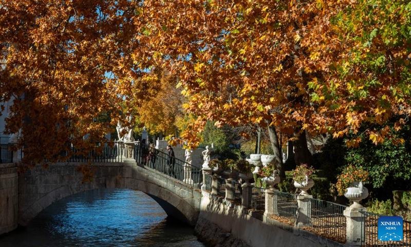 People visit the Island Garden in Aranjuez, Spain, Nov. 19, 2023. (Photo: Xinhua)
