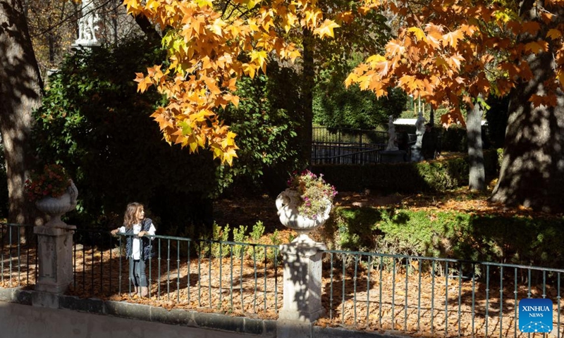 A girl visits the Island Garden in Aranjuez, Spain, Nov. 19, 2023. (Photo: Xinhua)
