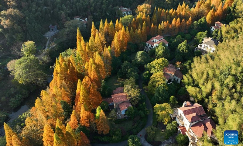 This aerial photo taken on Nov. 20, 2023 shows a view of Meiling national forest park in Nanchang, capital of east China's Jiangxi Province.(Photo: Xinhua)