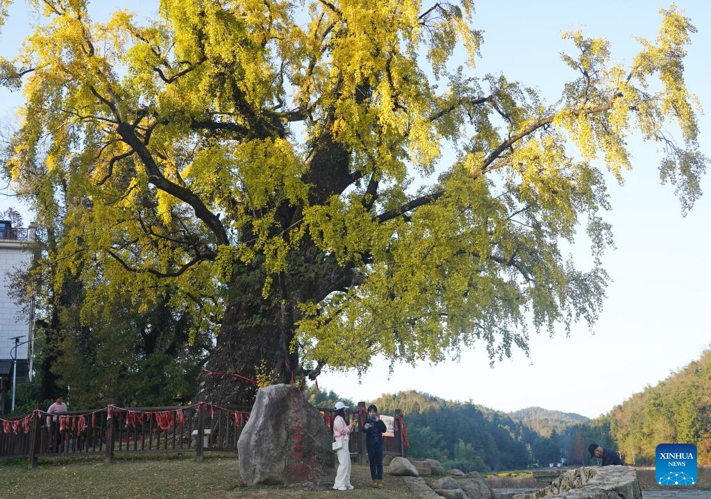 People visit Meiling national forest park in Nanchang, east China's Jiangxi Province, Nov. 20, 2023.(Photo: Xinhua)