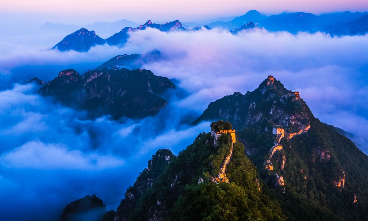 Photo: Courtesy of Yang Dong