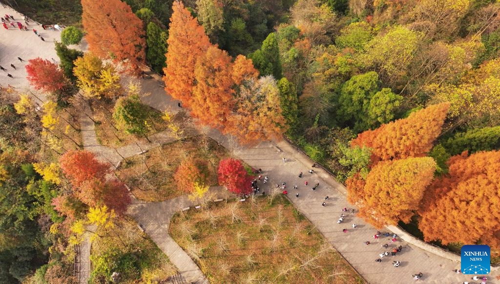 This aerial photo taken on Nov. 22, 2023 shows people visiting Tianzi Mountain in Zhangjiajie City in central China's Hunan Province.(Photo: Xinhua)