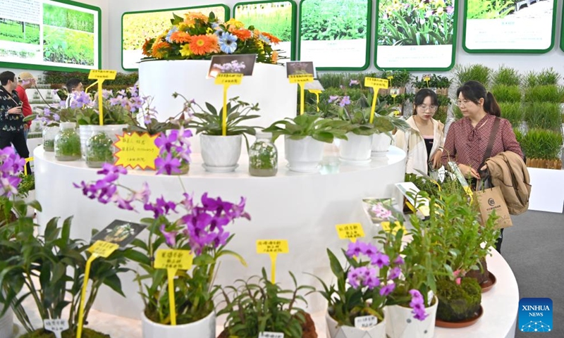 People visit the first World Forestry Industry Conference at Nanning International Convention and Exhibition Center in Nanning, capital of south China's Guangxi Zhuang Autonomous Region, Nov. 25, 2023. The first World Forestry Industry Conference opened in Nanning on Saturday. The event includes a combination of conferences, exhibitions and forums. (Photo: Xinhua)
