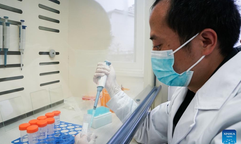 A staff member conducts research on snake venom at Qimen Institute of Snakebite in Qimen County of Huangshan City, east China's Anhui Province, Nov. 8, 2023. Qimen Institute of Snakebite was founded in 1965. It was the first scientific research institution integrating snakebite research, treatment and medicine production in China, and also one of the largest snakebite treatment bases in Asia. Its original Qimen snakebite therapy cured many snakebite patients. (Photo: Xinhua)