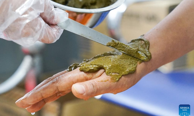 A staff member spreads ointment on the hand of a snakebite victim at Qimen Institute of Snakebite in Qimen County of Huangshan City, east China's Anhui Province, Nov. 8, 2023. Qimen Institute of Snakebite was founded in 1965. It was the first scientific research institution integrating snakebite research, treatment and medicine production in China, and also one of the largest snakebite treatment bases in Asia. Its original Qimen snakebite therapy cured many snakebite patients. (Photo: Xinhua)