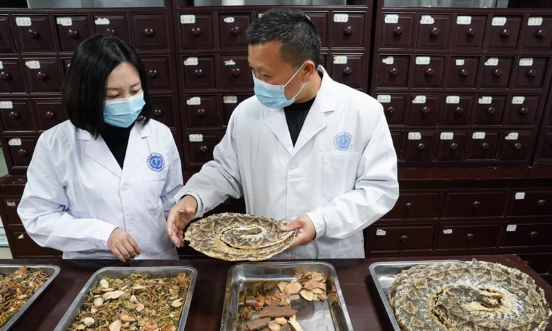 Ni Yongsong (R), head of Qimen Institute of Snakebite, and a staff member talk about medicinal materials for treating snakebite at the institute in Qimen County of Huangshan City, east China's Anhui Province, Nov. 8, 2023. (Photo: Xinhua)