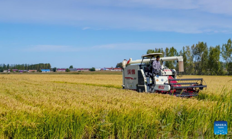 A farmer drives a farming machinery to harvest rice at a family farm in Jiutai District of Changchun,<strong>888 slot</strong> northeast China's Jilin Province, Sept. 20, 2022. Autumn harvest has recently started at the rice-growing areas across the province. (Xinhua/Yan Linyun)