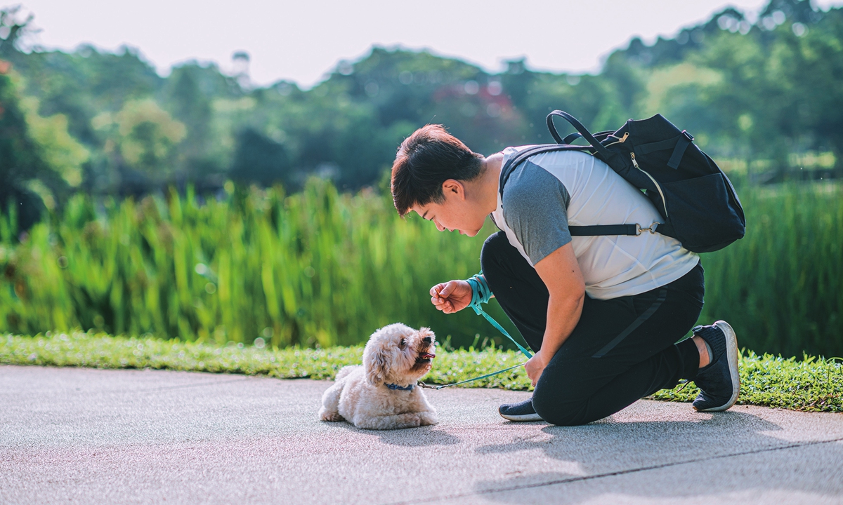 A pet owner looks at her dog. Photo: VCG