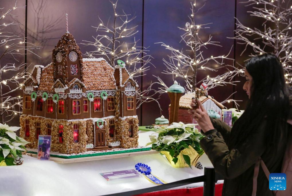 A visitor takes photos of a gingerbread house at a Gingerbread Lane event in Vancouver, British Columbia, Canada, on Dec. 5, 2023. Over 30 gingerbread houses are displayed during the annual event.(Photo: Xinhua)