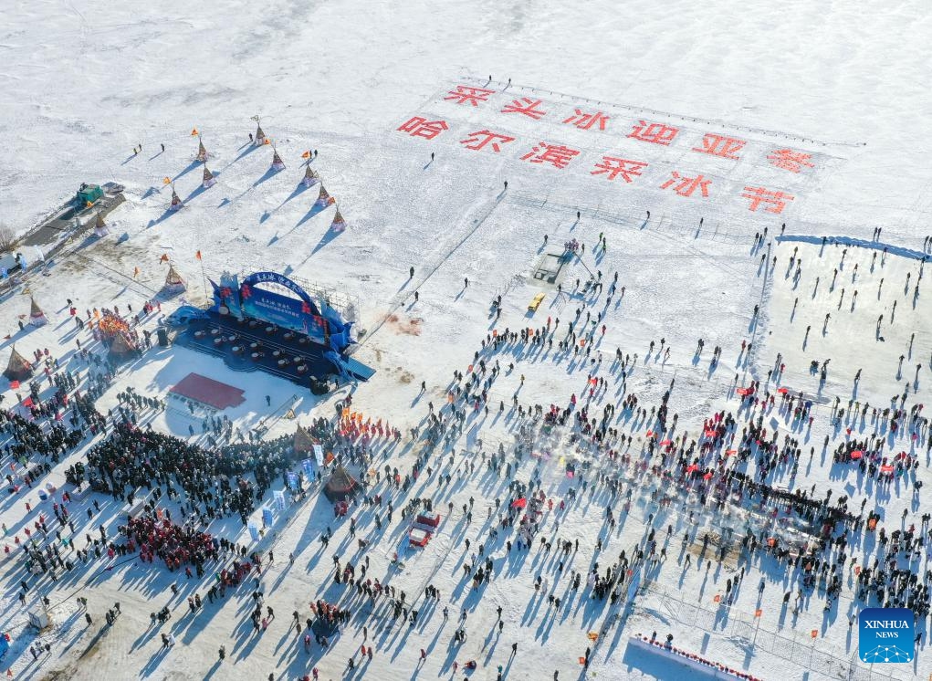 This aerial photo shows an ice collecting festival on the Songhua River in Harbin, capital of northeast China's Heilongjiang Province, Dec. 7, 2023. Ice cubes collected from the frozen Songhua River will be used in decoration of the city.(Photo: Xinhua)