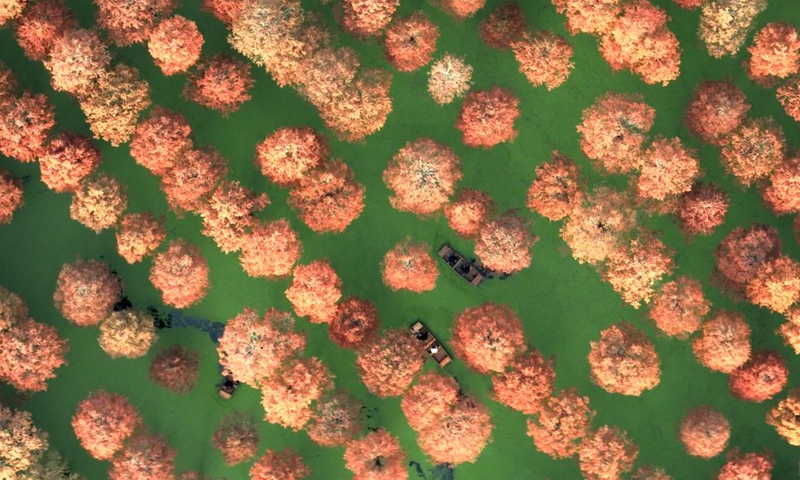 This aerial photo taken on Dec. 9, 2023 shows tourists rowing boats at Luyang Lake wetland park in Yangzhou, east China's Jiangsu Province. (Photo: Xinhua)