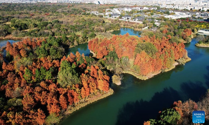 This aerial photo taken on Dec. 9, 2023 shows the scenery at Xixi Wetland in Hangzhou, east China's Zhejiang Province. (Photo: Xinhua)