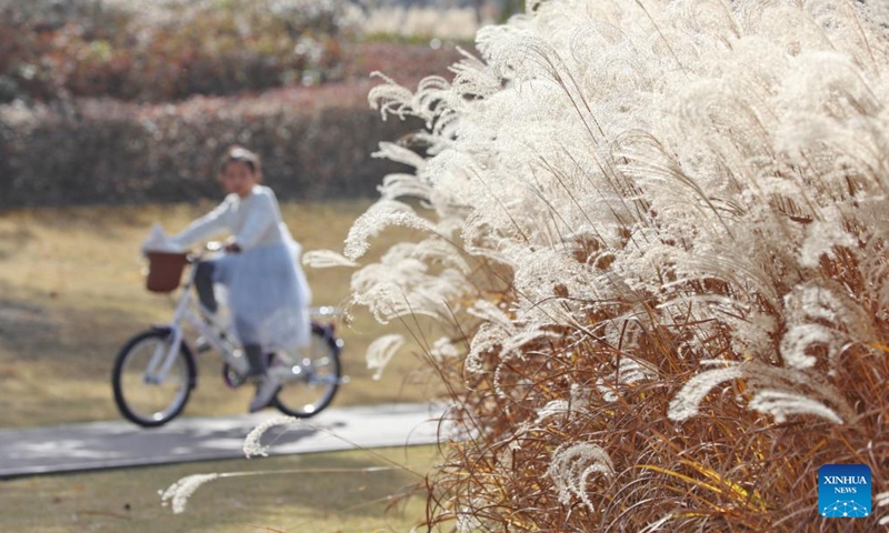 A child rides a bike at a park in Jiaxing, east China's Zhejiang Province, Dec. 9, 2023. (Photo: Xinhua)