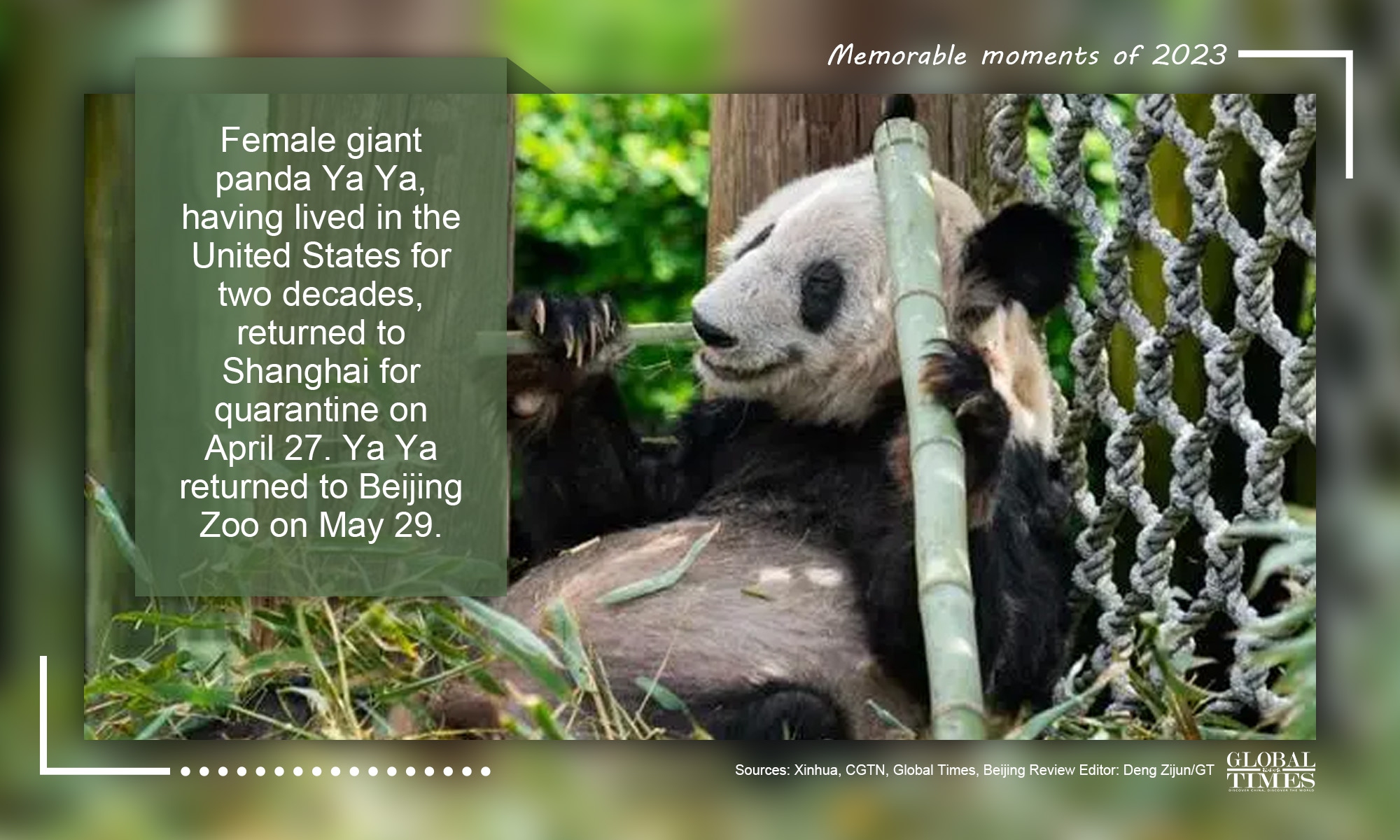 Graphic: Deng Zijun/GT