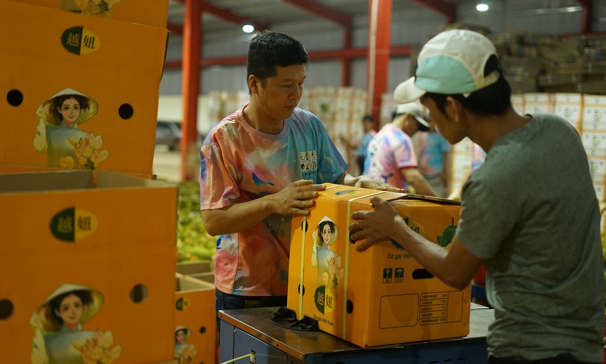 Workers pack durians to be exported to China at a durian processing plant in Dak Lak province, Vietnam, on Sept. 15, 2023. (Photo: Xinhua)