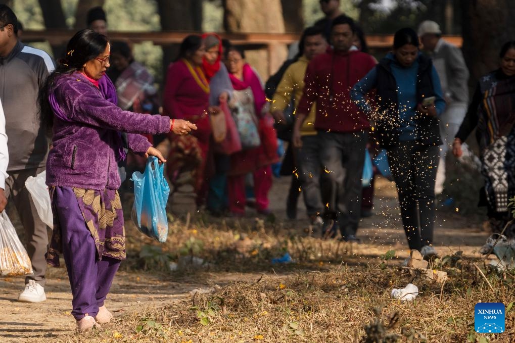 A woman scatters a mixture of seven types of grains as a tradition to observe the Bala Chaturdashi Festival in Kathmandu, Nepal, Dec. 11, 2023.(Photo: Xinhua)