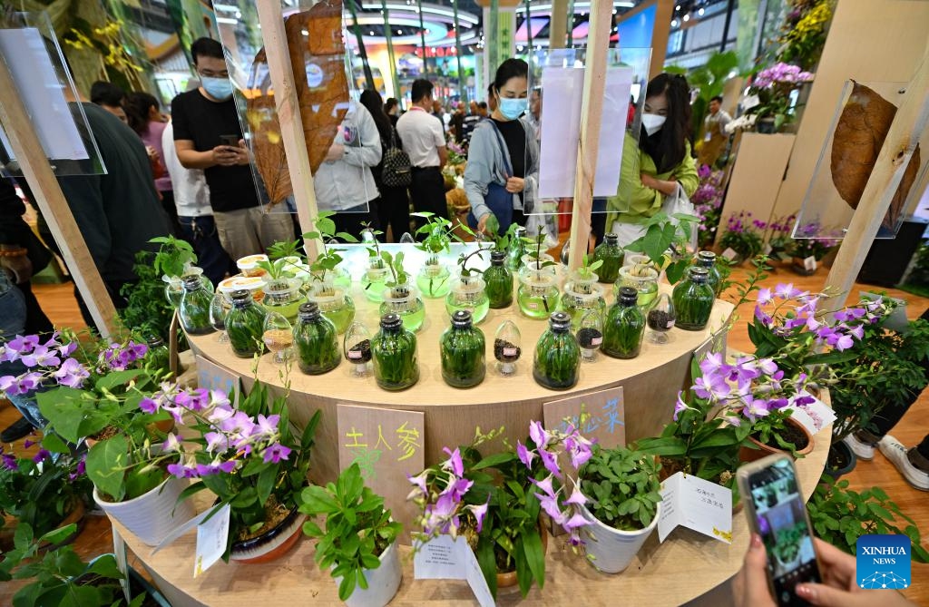 This photo taken on Dec. 14, 2023 shows plants from tropical rain forests in Wuzhishan City displayed during the 26th China (Hainan) International Tropical Agricultural Products Winter Trade Fair in Haikou, south China's Hainan Province. Covering an area of around 80,000 square meters, the 26th China (Hainan) International Tropical Agricultural Products Winter Trade Fair kicked off here on Thursday. Exhibits of the four-day event will focus on fruits and vegetables, grain and oil, aquatic products, and cross-border e-commerce.(Photo: Xinhua)