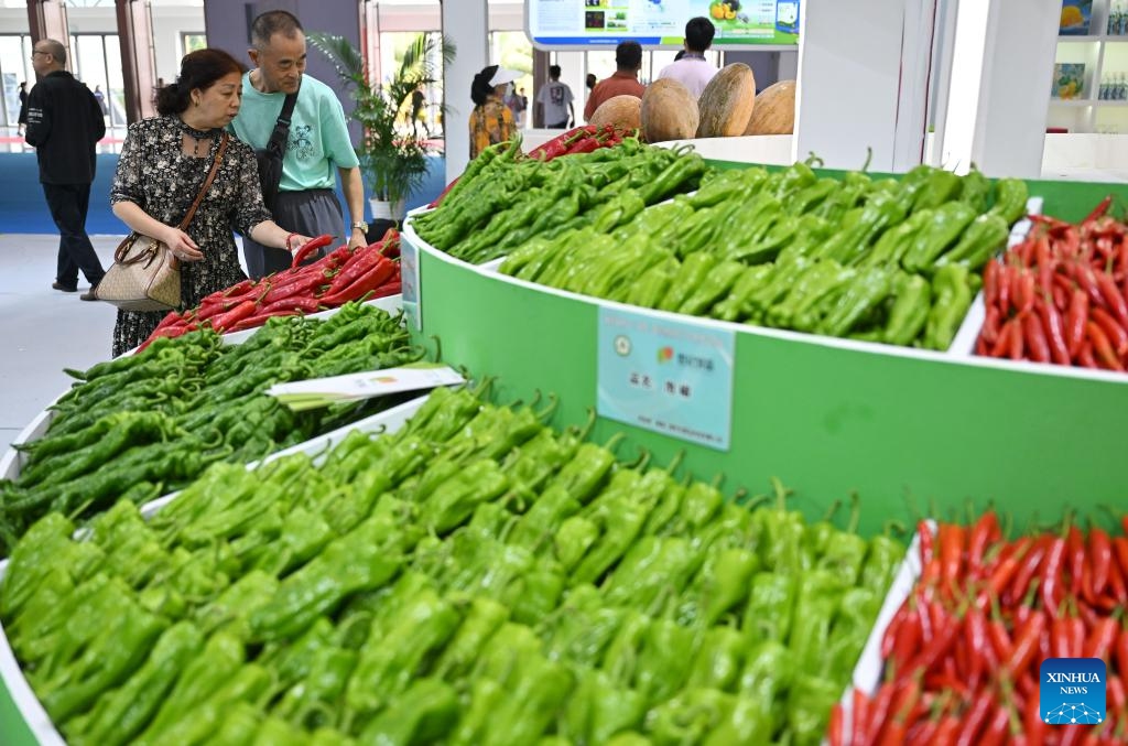 Visitors select local winter vegetables during the 26th China (Hainan) International Tropical Agricultural Products Winter Trade Fair in Haikou, south China's Hainan Province, Dec. 14, 2023. Covering an area of around 80,000 square meters, the 26th China (Hainan) International Tropical Agricultural Products Winter Trade Fair kicked off here on Thursday. Exhibits of the four-day event will focus on fruits and vegetables, grain and oil, aquatic products, and cross-border e-commerce.(Photo: Xinhua)