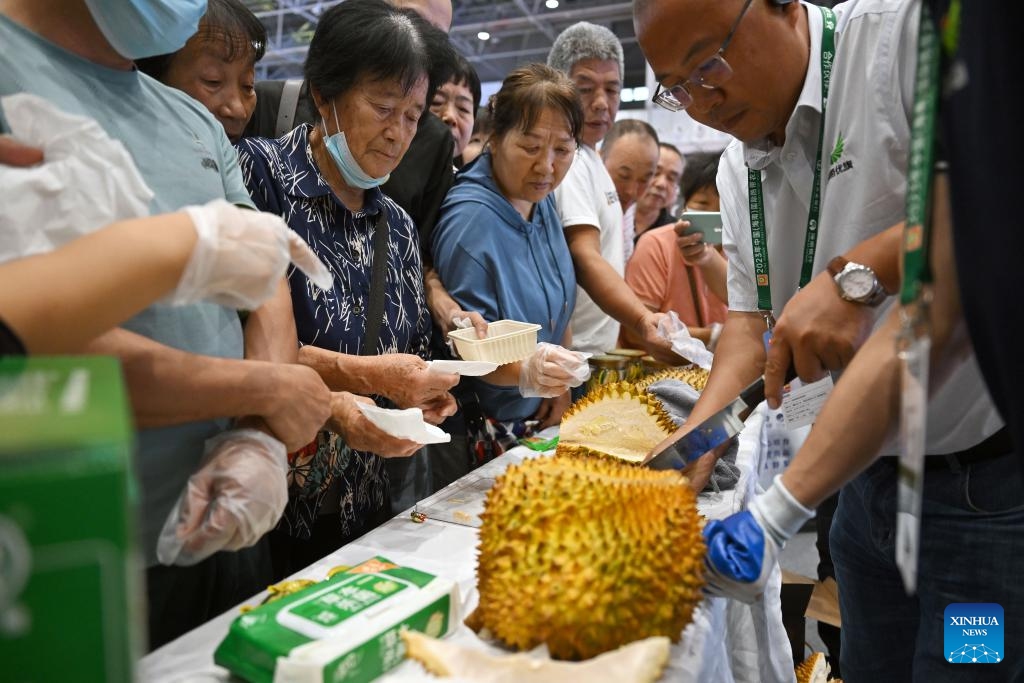 Visitors wait to taste local durians during the 26th China (Hainan) International Tropical Agricultural Products Winter Trade Fair in Haikou, south China's Hainan Province, Dec. 14, 2023. Covering an area of around 80,000 square meters, the 26th China (Hainan) International Tropical Agricultural Products Winter Trade Fair kicked off here on Thursday. Exhibits of the four-day event will focus on fruits and vegetables, grain and oil, aquatic products, and cross-border e-commerce.(Photo: Xinhua)
