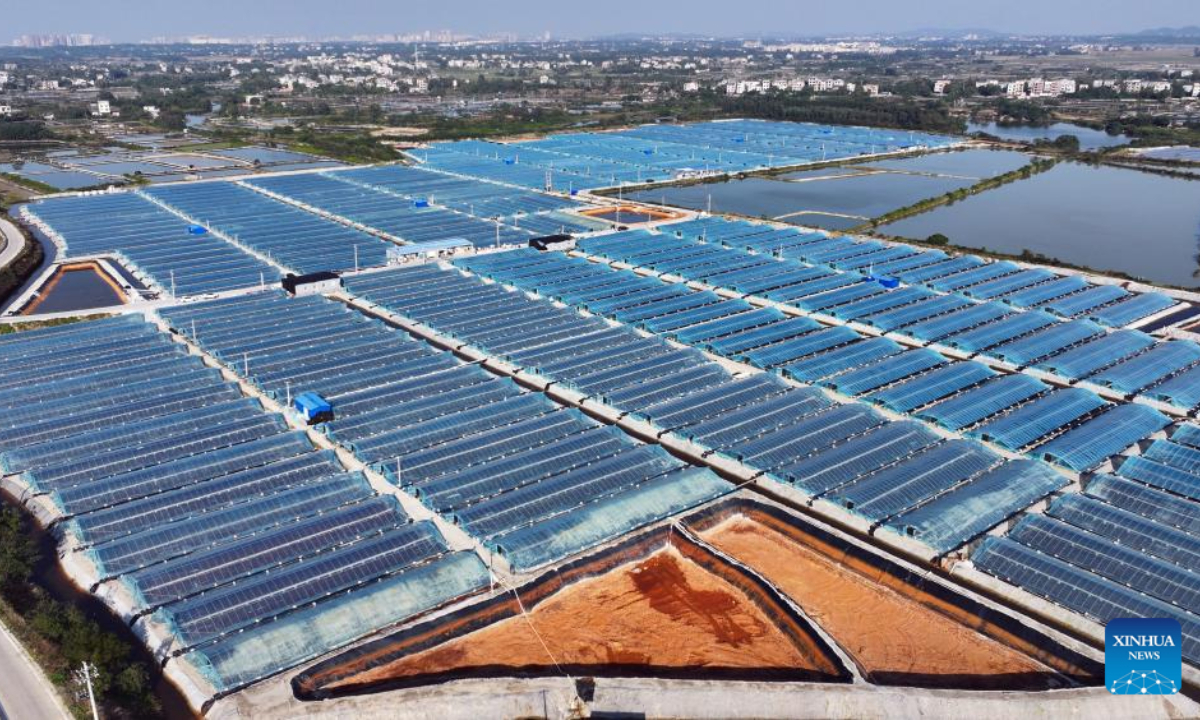This aerial photo taken on Dec 27, 2023 shows a prawn breeding base in Lianzhou Town of Hepu County, south China's Guangxi Zhuang Autonomous Region. Photo:Xinhua