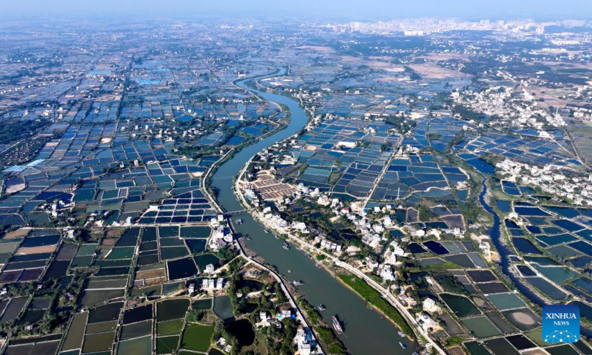 This aerial photo taken on Dec 27, 2023 shows shrimp ponds in Lianzhou Town of Hepu County, south China's Guangxi Zhuang Autonomous Region. Photo:Xinhua
