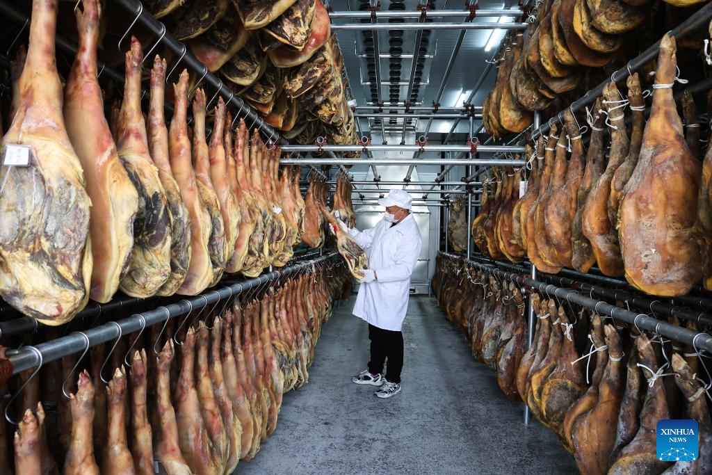 A worker checks the condition of cured meat at the workshop of a food processing company in Huangshan, east China's Anhui Province, Dec. 26, 2023. The alluring aroma of cured meat has wafted out as winter comes.(Photo: Xinhua)