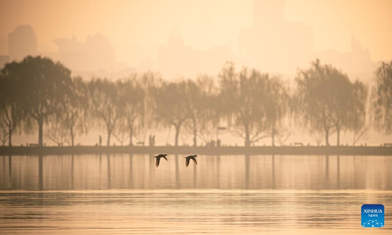 Waterfowls fly over the West Lake in Hangzhou, east China's Zhejiang Province, Dec. 26, 2023.(Photo: Xinhua)