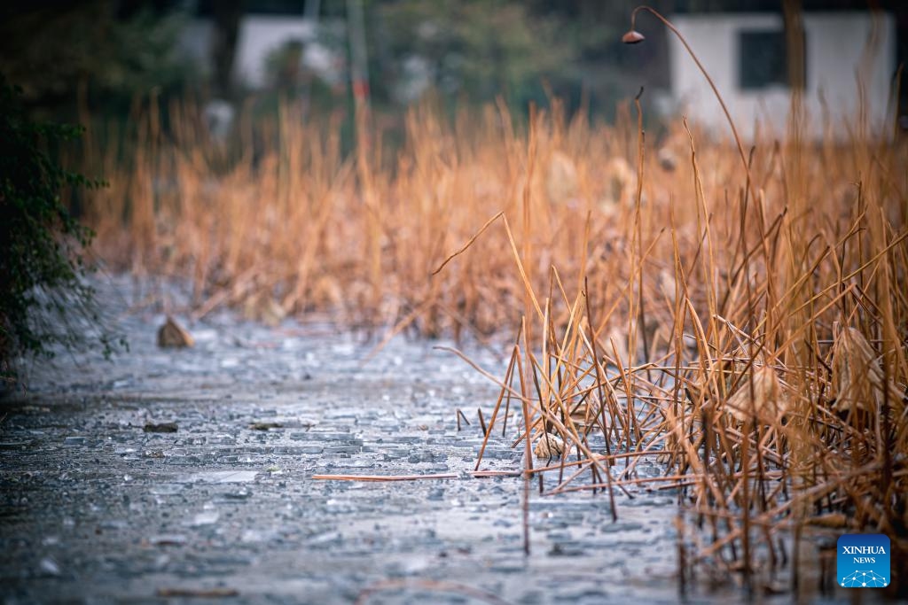 Portions of water freeze over in the West Lake in Hangzhou, east China's Zhejiang Province, Dec. 26, 2023.(Photo: Xinhua)
