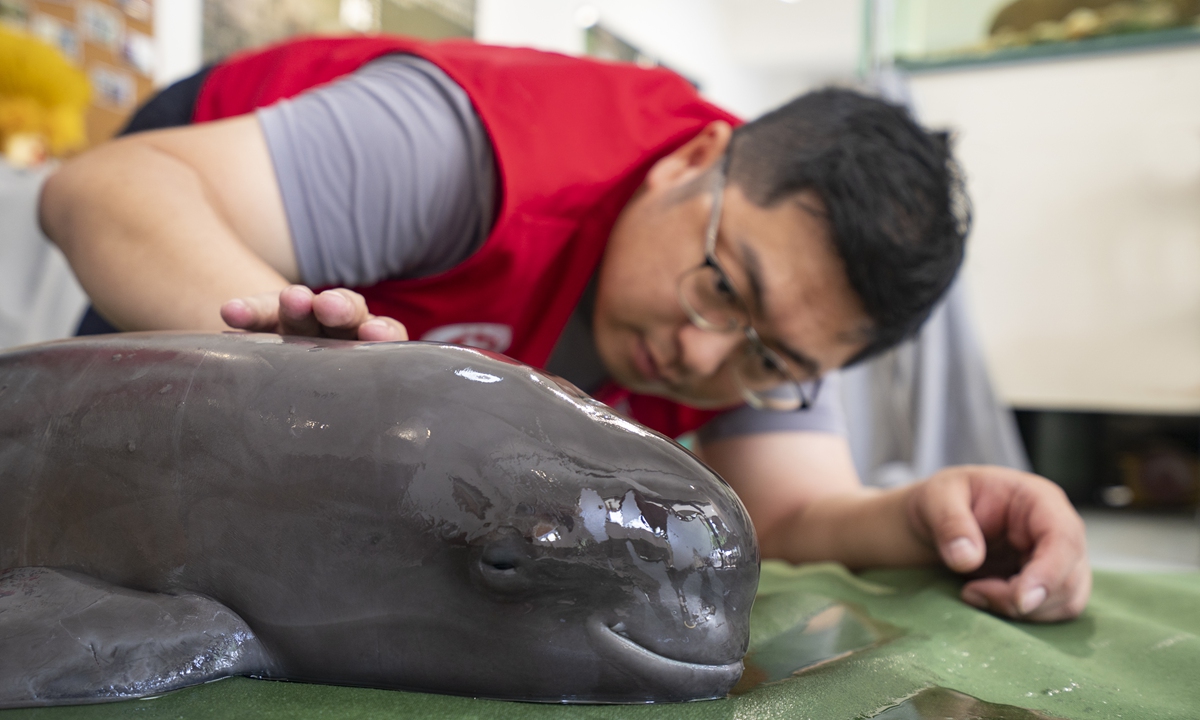Jiang Meng observes the Yangtze finless porpoise. Photo: Courtesy of Jiang